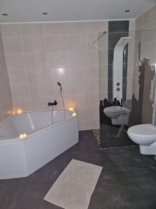 Duplex-Cocon-Proximite - Piscines Thermales -Sauna Hombourg-Haut Kültér fotó